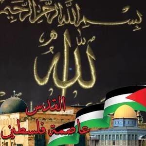 Meet your Posher, Nasser